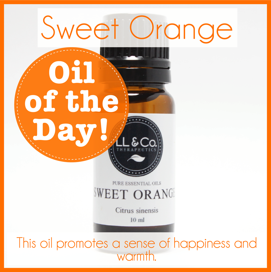Oil of the Day - Sweet Orange